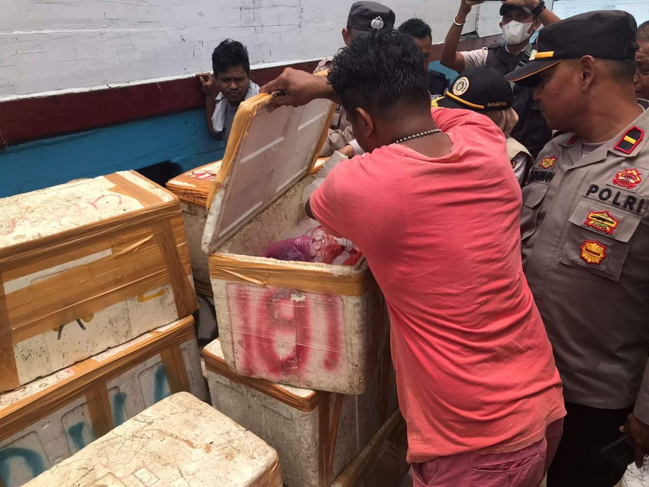 Subsektor KP3 Dan Balai Karantina Luwuk Gagalkan Penyelundupan Daging Sapi