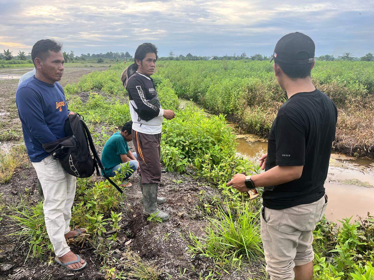 Pemohon PK Minta Eksekusi Sengketa Tanah di Pasangkayu Ditunda