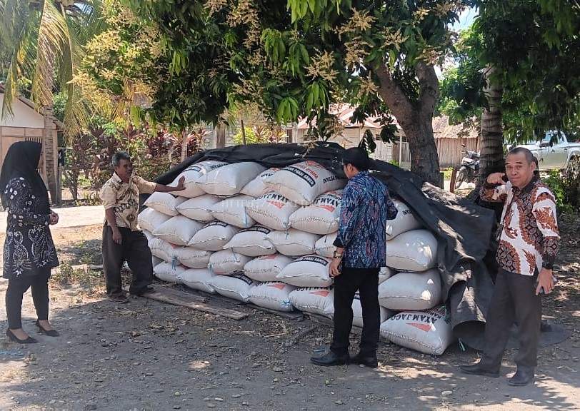 Genjot Pelayanan KUR, BRI Cabang Ampana Perkuat Dukungan bagi Pelaku UMKM